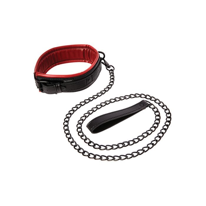 S&amp;M - Saffron Leash and Collar (Black) SM1057 CherryAffairs