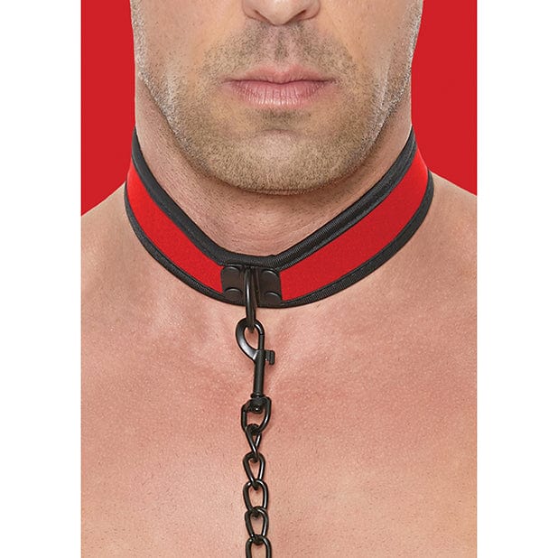 Shots - Ouch Puppy Play Puppy Collar with Leash CherryAffairs