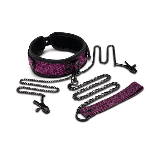 WhipSmart - Dragon's Lair Collar Leash and Nipple Clips BDSM Set (Purple) WS1003 CherryAffairs