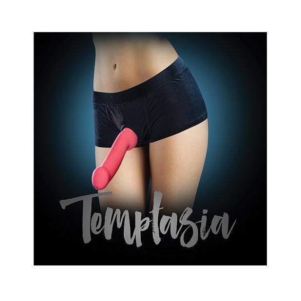 Blush Novelties - Temptasia Strap On Harness Briefs L (Black) Strap On w/o Dildo 819835021889 CherryAffairs