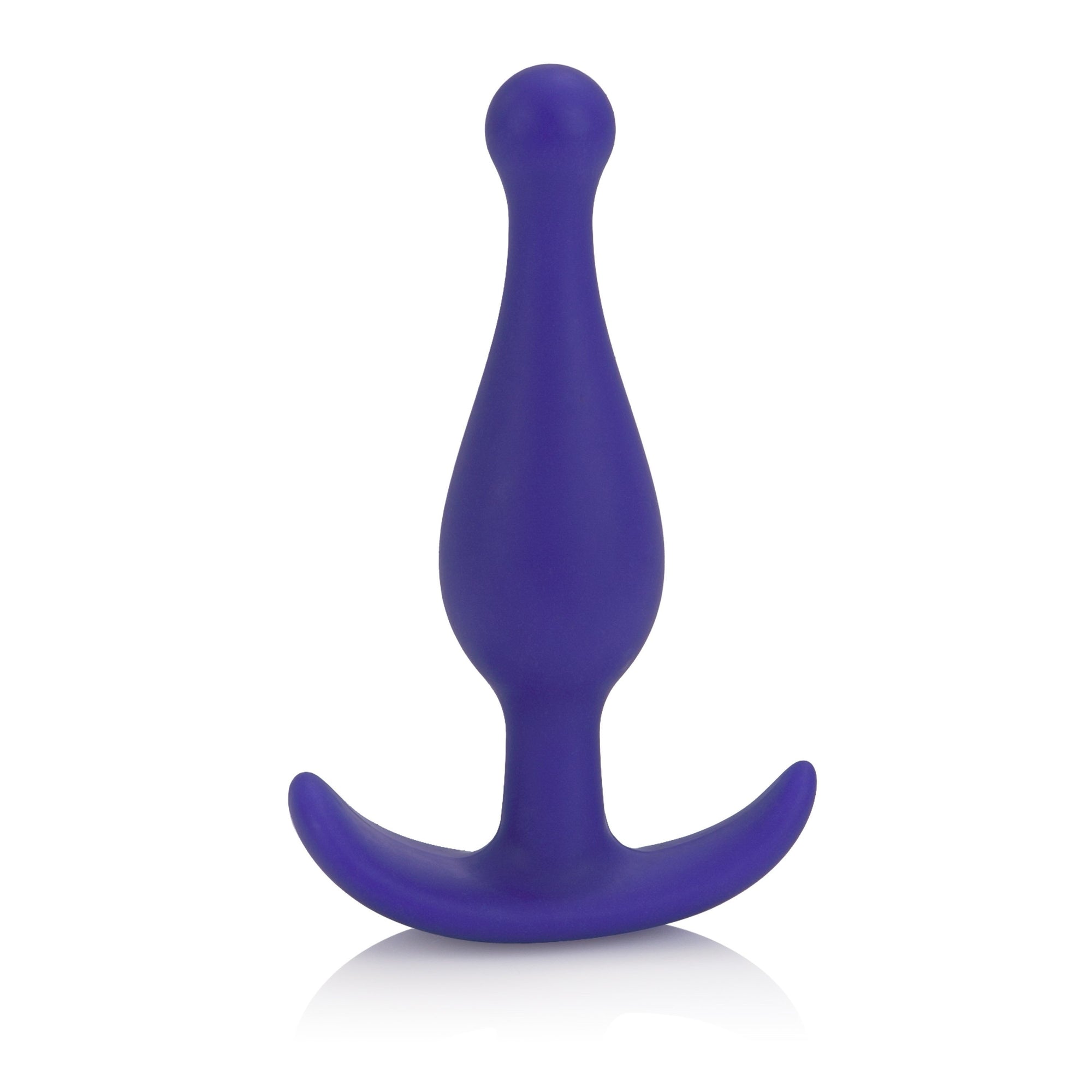 California Exotics - Hers Anal Massager Kit (Purple) AC Powered Wand Massagers (Vibration) Singapore