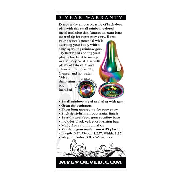 Evolved - Rainbow Metal Anal Plug Small (Silver) Metal Anal Plug (Non Vibration) 625514383 CherryAffairs