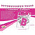 Hott Products -Bachelorette Party Diamond Banner (Pink) Bachelorette Party Novelties Durio Asia