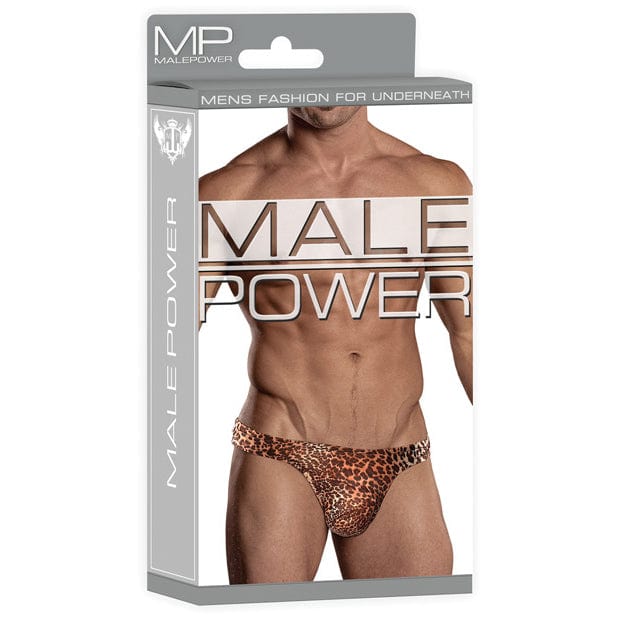 Male Power - Wonder Animal Print Thong Underwear S/M (Leopard) Gay Pride Underwear 845830048415 CherryAffairs