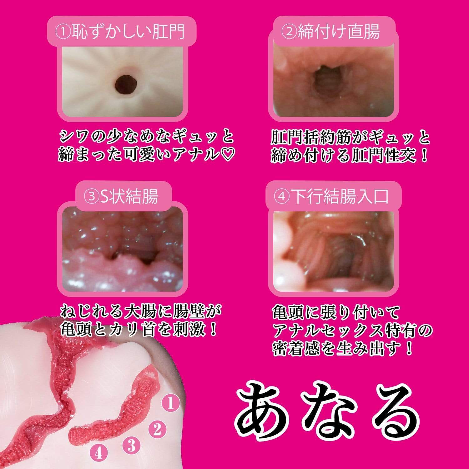 NPG - 2 Hole Chinko Binbin Sasoigoshi Waist Onahole Masturbator 3kg (Beige) Masturbator Vagina (Non Vibration) 4562160136716 CherryAffairs